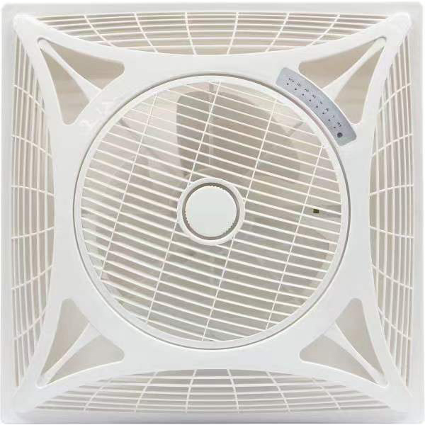 Fan (2)